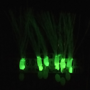 Equipo de Pesca Sabiki Lunker, Anzuelo de Acero con Alto Contenido de Carbono, Señuelo Luminoso Brillante, Pesca Nocturna, Pesca de Fondo de Carpas, Técnicas de Pesca en Playa y Océano - Product Image 3