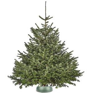 Accepter OEM et ODM 2023NEW nouveau style de support de sapin de Noël en plastique automatique pour arbre réel - Product Image 5