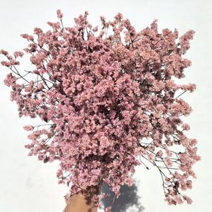 <span class=keywords><strong>Fleur</strong></span> éternelle Saint Valentin cadeau <span class=keywords><strong>de</strong></span> fête des mères <span class=keywords><strong>fleur</strong></span> éternelle pleine d'étoiles mariage décoration <span class=keywords><strong>de</strong></span> la maison fleurs séchées - Product Image 3