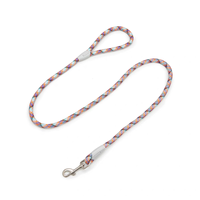 Laisse pour chien moderne, durable et flexible avec crochet, en nylon de haute qualité, idéale pour les promenades au parc et à la plage