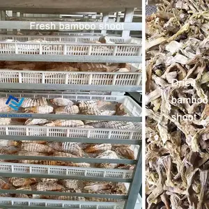 Low Price PLC Control Drying Oven Fruit Dehydrator Cassava Dryer Drying Machine For Food Drying