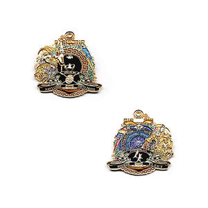 Pièce de monnaie commémorative personnalisée en couleur, technologie d'impression numérique, <span class=keywords><strong>image</strong></span> vibrante, effet photo réaliste - Product Image 6