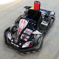 Go Kart de Carreras para Adultos con Motor de Gasolina y Tracción por Cadena, con Alerón Trasero, 45 km/h, para Entretenimiento en Pistas al Aire Libre