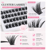 Extensions de cils synthétiques D Curl en grappes, style Manga Fairy, effilées et segmentées, faites à la main, réutilisables, kit d'extension de cils DQL