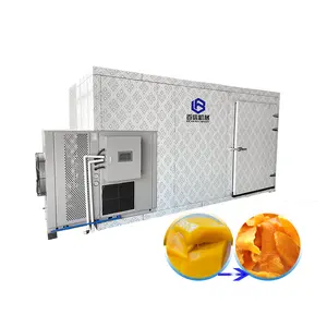 Commercial Desiccated Coconut Pineapple Slice Dehydrator Mango Flesh Drying Equipment Industrial Fruit Dryer Machine