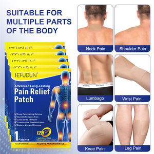 SEFUDUN漢方薬鎮痛12時間鎮痛体の痛みインスタント鎮痛ヒートパッチ、鎮痛パッチ - Product Image 6