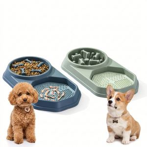 Bol de puzzle interactif 2-en-1 pour chien à alimentation lente, anti-étouffement, anti-renversement, base en caoutchouc antidérapante - Product Image 1