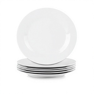 Classic Simple Style <b>Disposable</b> Eco-Friendly Porcelain Round Customized Dishes & <b>Plates</b> for Back to School ZF Global Export - Product Image 3