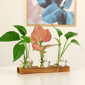 Drops hipping Desktop Planter Terrarium mit Holz regal 3 Glas birne Blumenvasen Vermehrung station - Product Image 4