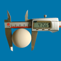 04-1080-56 Hytrel-Ventilkugel für 1,5-Zoll- und 1,875-Zoll-Pneumatik-Membranpumpen, Saniflex/Widen-kompatibel, ISO9001-zertifiziert