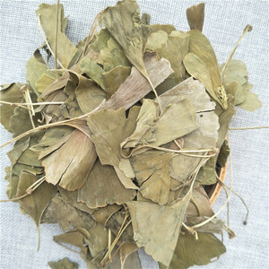 بالجملة اوراق جينكو العضوية اوراق جينكو الجافة بالشاي العشبي - Product Image 3