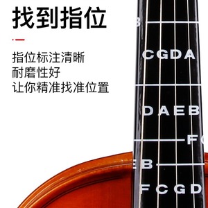 Pegatinas de plástico para posiciones del diapasón del violín, prácticas para principiantes, piezas de instrumentos de cuerda - Product Image 4