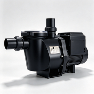 Pentair Cadisdon Adjustable Variable Speed Pump 800RPM-2900RPM Swimming Pool Circulating Water Pump with Timer - Product Image 2
