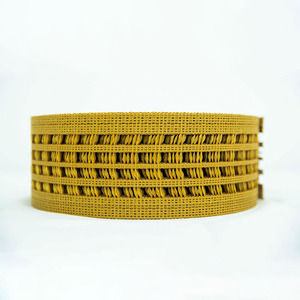 Chất lượng cao lớp gà lồng đục trứng Bộ sưu tập băng tải cho trứng truyền đạt đục lỗ đẻ gà trang trại thắt lưng - Product Image 6