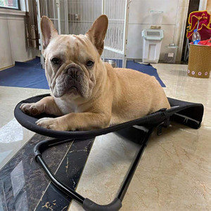 Cama para Mascotas Plegable, Lavable, Ajustable, Portátil, <span class=keywords><strong>de</strong></span> Tela Oxford Sólida, Sofá Cama para Perros - Product Image 5