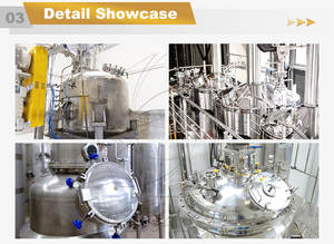 Hochdruck-Edelstahl-Reaktortank mit Rührwerk und Temperaturregelung - Product Image 4