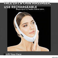 Appareil de lifting facial vibrant portable, éliminateur de double menton, masseur facial en V, rechargeable par USB, ABS et acier inoxydable