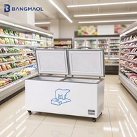 Congélateur horizontal fiable à double couvercle rabattable avec rangement intérieur pour aliments et roulettes pour cuisines commerciales