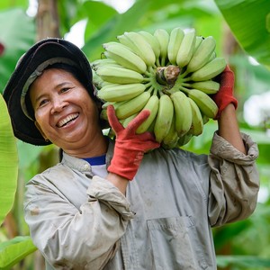 Extracto orgánico de planta de plátano verde cultivado salvaje de alta fibra, almidón resistente de grado alimenticio para mezclar bebidas, ingredientes para hornear - Product Image 6