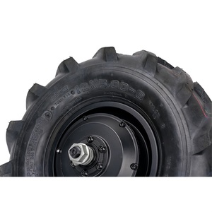 High Torque 230n.m Single Shaft 500w Hub Motor Wheel Motor Brushless Geared Motor for Agriculture - Product Image 6