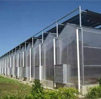 Serre agricole multi-travées en panneaux PC, durable, pour la culture commerciale de légumes et de fleurs