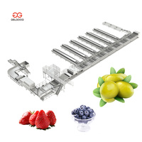 1000 kg/uur fruitdroog-, sorteermachine en verwerkingsapparatuur, optische sorteerder voor aardappels, sorteer- en verpakkingsinstallatie