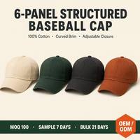 Gorra de Béisbol con Bordado 3D en Relieve, OEM, ODM, Marca Privada, Logotipo Personalizado, Fábrica de Gorras con Marca Completa
