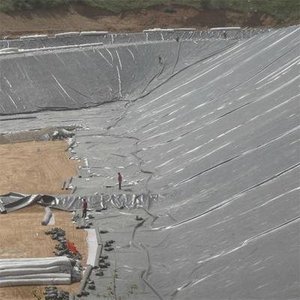 Commercio all'ingrosso della fabbrica 1mm 2mm 3mm HDPE ldpe PVC geomembrana per il sequestro di stagno di pesce lago artificiale per allevamento ittico - Product Image 1