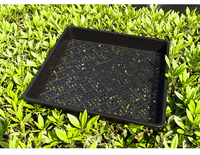 Plateau en plastique noir pour culture de légumes, microverts pour semis hydroponique, plateau pour pépinière, plantes, fleurs, noir, plat, 1 pièce, dda328