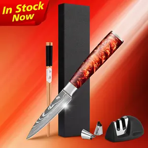 شحن مجاني 3.5 بوصة 67 طبقات vg10 سكاكين مطبخ يابانية سكين تصنيع دمشقي مقبض من الصلب ومقبض من الراتينج الأحمر