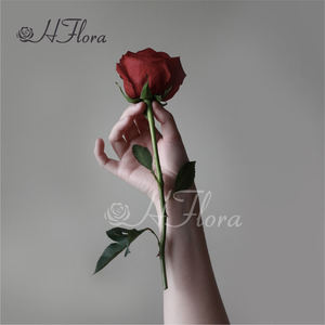 Venta al por mayor de flores rosas naturales preservadas con tallo largo real Rosa Día DE LA MADRE boda Vida eterna flor Material regalo - Product Image 6