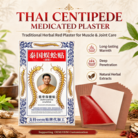 Patch analgésique à base de plantes thaïlandaises pour les douleurs articulaires, la sciatique et les inconforts lombaires – Usage externe – Soins de santé
