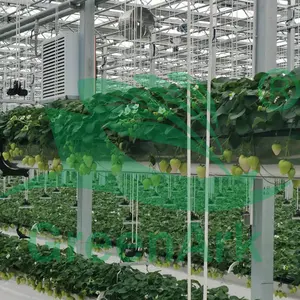 Sistema totalmente automático para granja de plantas de fresa, para siembra y recolección de plantas