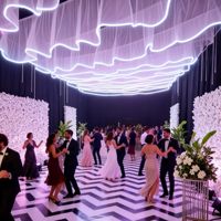 Bande lumineuse de plafond effet voile, lumière blanche toutes saisons pour restaurants, bars, mariages, cafés, maisons d'hôtes