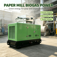 Groupes électrogènes diesel silencieux 50KW 100KW 150KW 200KW 300KW – Fournisseurs de groupes électrogènes de secours 100KVA