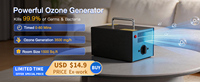 7000 mg/h Plaque en céramique d'ozone Ozono Odor Eliminator Générateur d'ozone Portable avec poignée Purificateur d'air à l'ozone