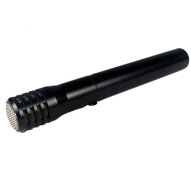 Sinbosne Professional Studio Recording Condenser Microphone