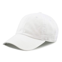 Gorra de Béisbol Deportiva de 6 Paneles con Parche de Bordado de Animales Personalizado, Ajustable, para Hombre y Mujer, de Algodón, Estilo Hip Hop