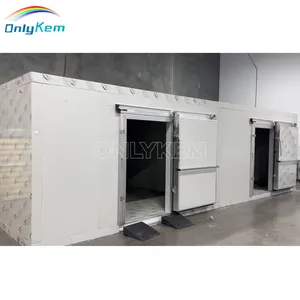 Outdoor Chiller Room Cold Storage for Meat, Walk in Freezer for Fish