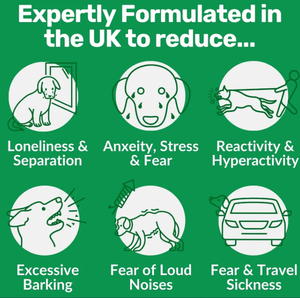 Suplemento calmante <span class=keywords><strong>para</strong></span> mascotas de etiqueta privada, golosinas <span class=keywords><strong>para</strong></span> perros, alivio de la ansiedad, el miedo y el estrés, masticables suaves con aceite de semilla de dobladillo y manzanilla - Product Image 2