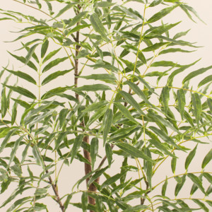 JWS4013 fabbrica di piante artificiali a basso prezzo lascia il vero tocco realistico piante alte in vaso soggiorno ufficio piante Decorative - Product Image 3