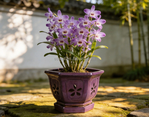 <span class=keywords><strong>Pots</strong></span> d'orchidées hexagonaux ventilés, <span class=keywords><strong>pots</strong></span> de cymbidium, <span class=keywords><strong>pots</strong></span> de dendrobium pour la décoration intérieure ou extérieure - Product Image 6