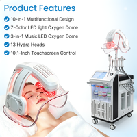 Nouvel appareil professionnel 10 en 1 d'hydrodermabrasion, jet d'oxygène, peeling hydra, machine de beauté faciale avec dôme à oxygène