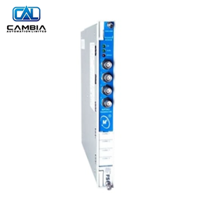 Nouveau produit : Moniteur de température Nevada 3500/61-SIL2-01-05, compatibilité Fieldbus, connexion fiable pour Foun - Product Image 5
