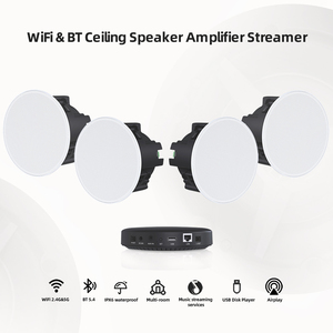 Passiver Decken lautsprecher Dualband WiFi Blue Tooth 5.4 AUX USB Audio Streamer Empfänger Verstärker Kits - Product Image 6