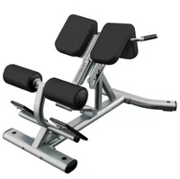 Machine d'extension dorsale de haute qualité pour musculation et entraînement sportif, équipement de fitness commercial et domestique avec garantie