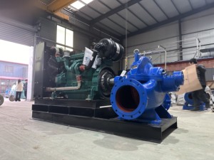 Pompe centrifuge horizontale à moteur diesel à haut débit, pompe à double aspiration pour l'irrigation agricole - Product Image 5