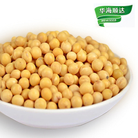 Graines de soja de haute qualité, graines de soja brutes, graines de soja biologiques en vrac pour l'alimentation
