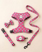 Ensemble de harnais pour chien anti-traction personnalisé, collier rembourré doux, laisse et harnais de qualité supérieure pour chien, distributeur de sacs à déjections canines, accessoires pour animaux de compagnie