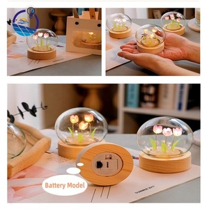 Luz de noche de tulipán Diy decorativa <span class=keywords><strong>para</strong></span> el hogar, Mini lámpara de flores de tulipán de luz de noche de <span class=keywords><strong>bola</strong></span> de cristal de tulipán Led - Product Image 6